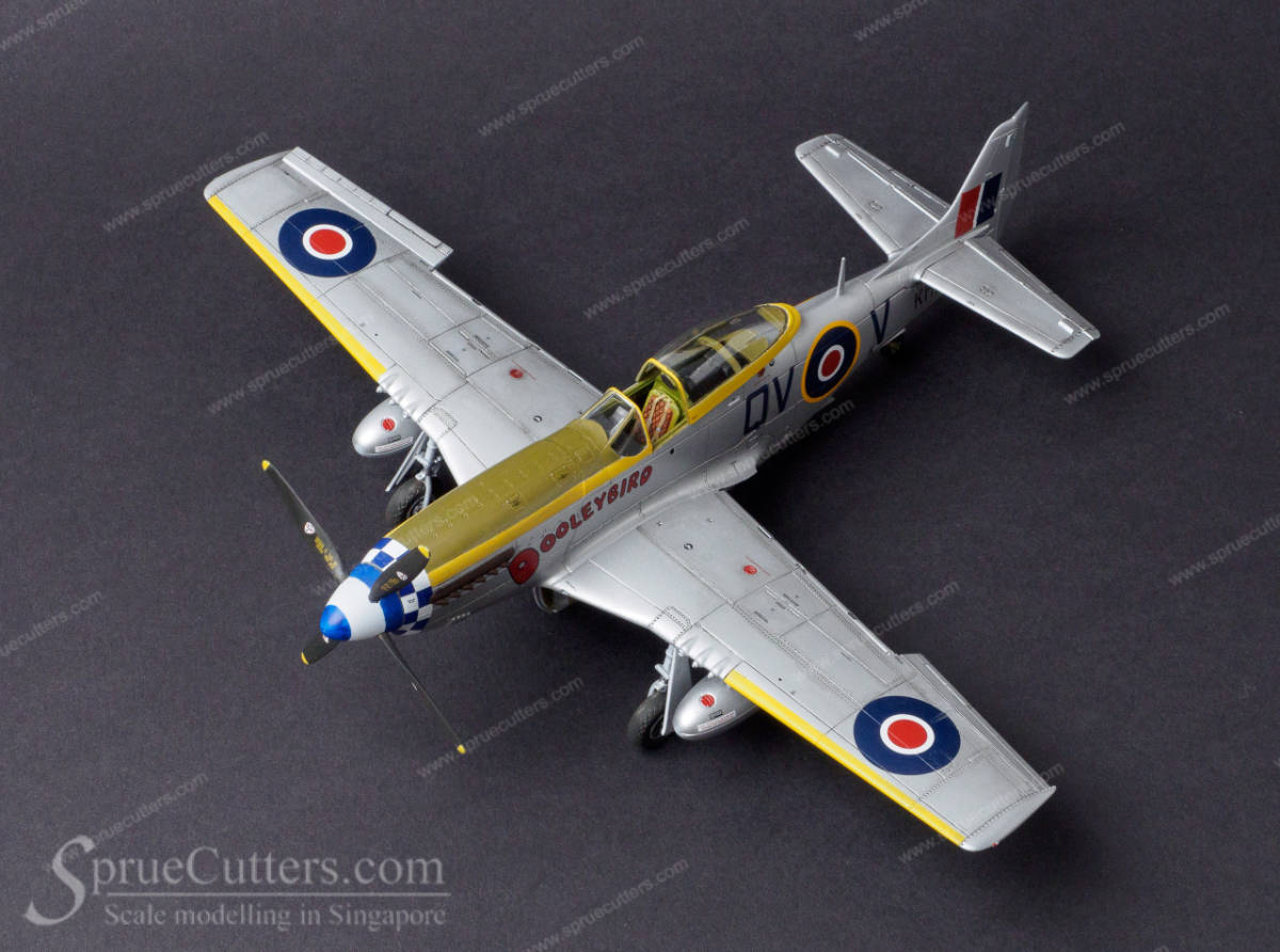 P-51 Mustang "Dooleybird"