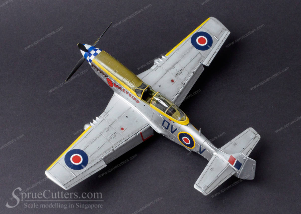 P-51 Mustang "Dooleybird"