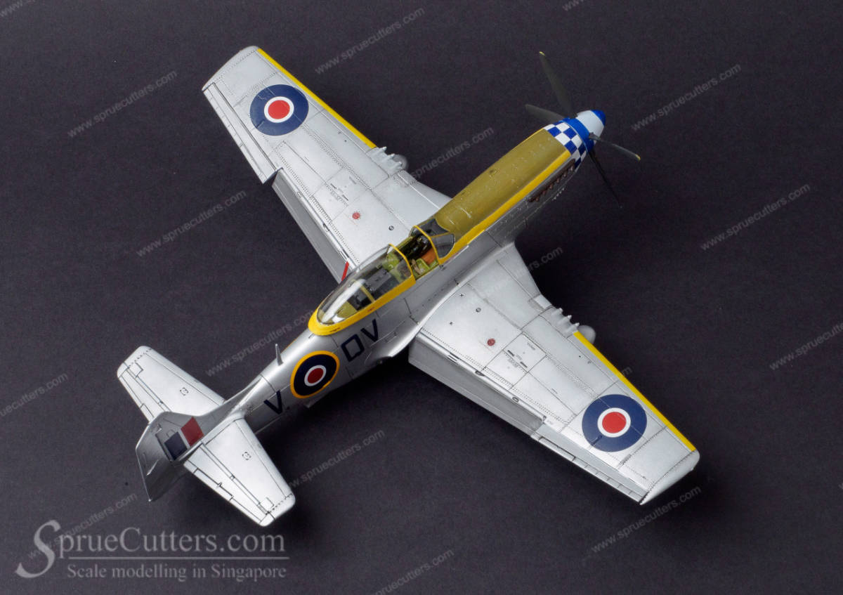 P-51 Mustang "Dooleybird"