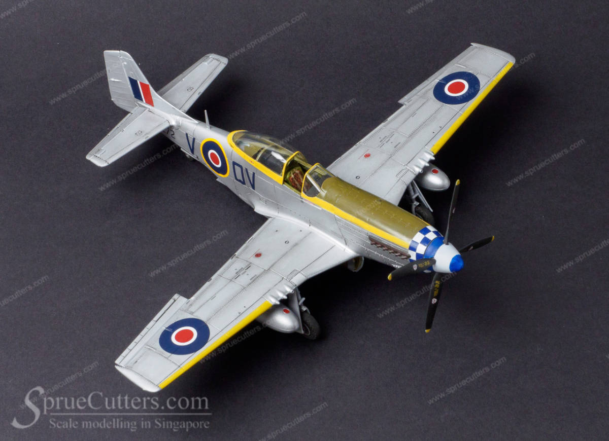P-51 Mustang "Dooleybird"
