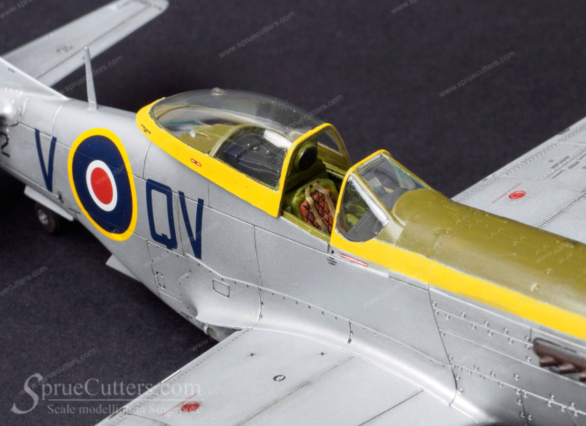 P-51 Mustang "Dooleybird"