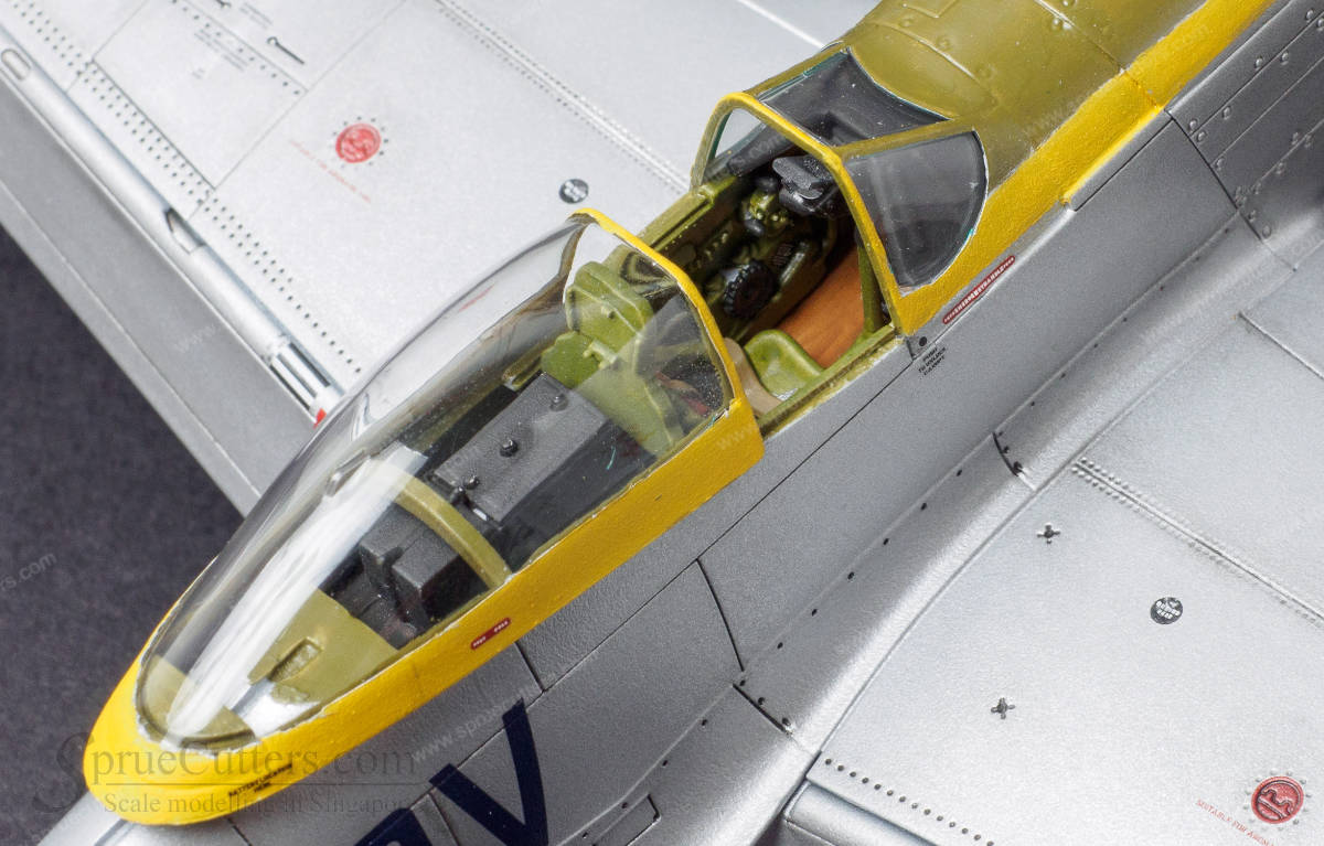 P-51 Mustang "Dooleybird"