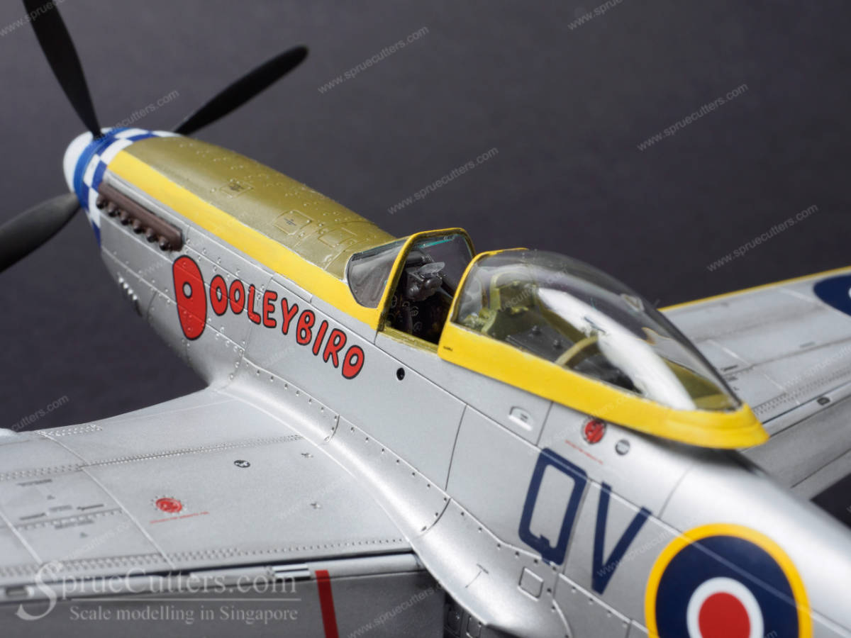 P-51 Mustang "Dooleybird"