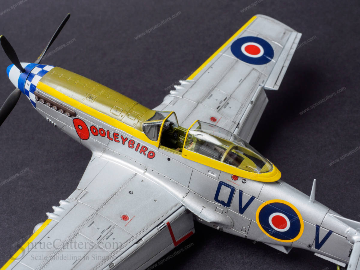 P-51 Mustang "Dooleybird"