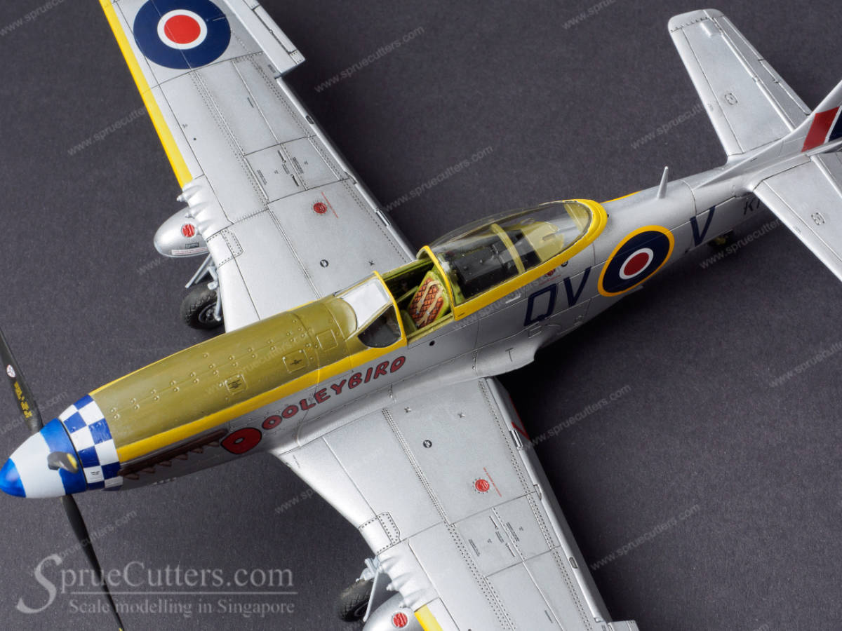 P-51 Mustang "Dooleybird"