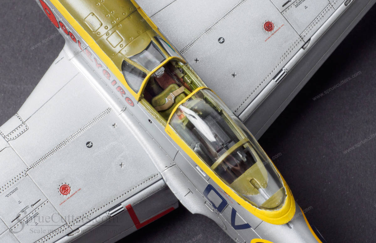 P-51 Mustang "Dooleybird"