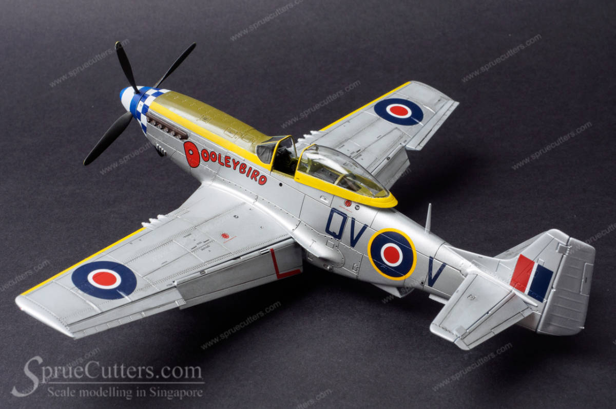 P-51 Mustang "Dooleybird"