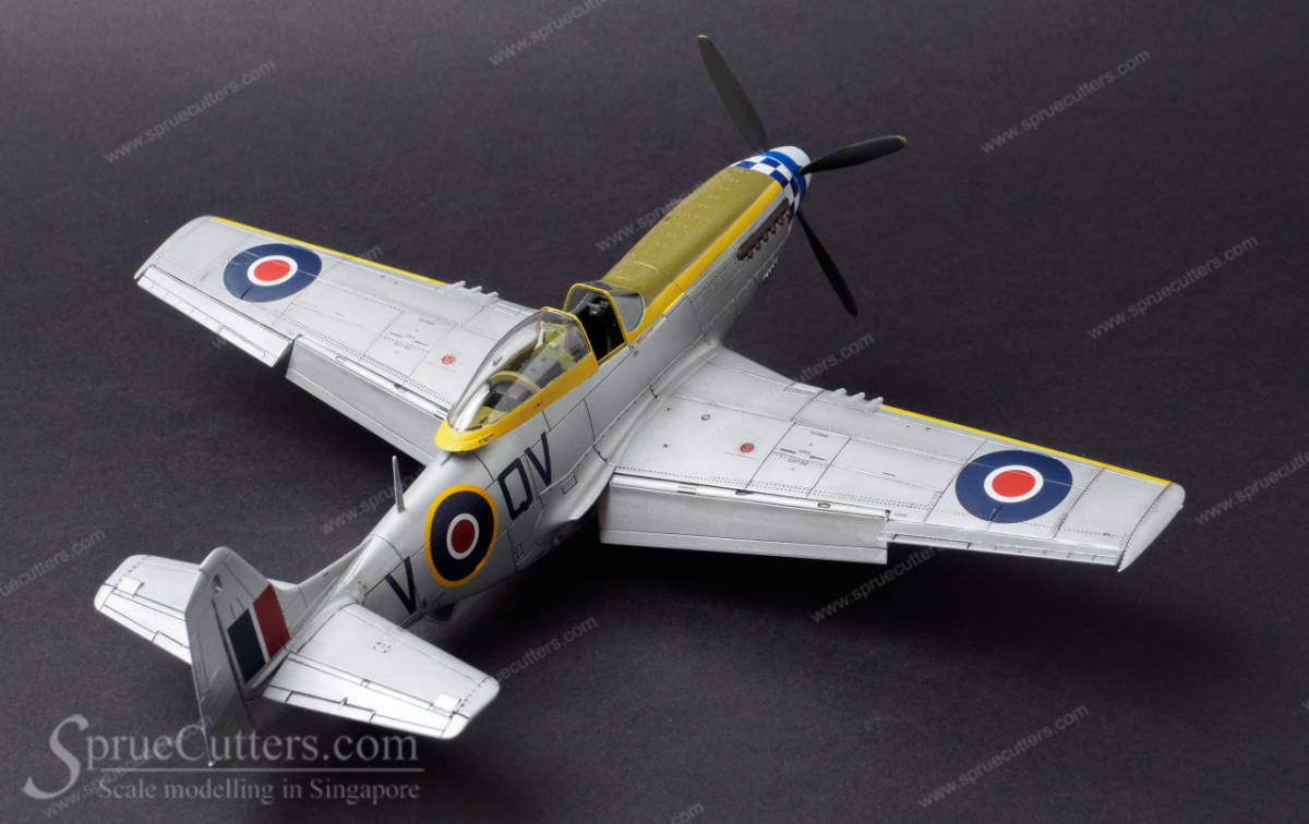 P-51 Mustang "Dooleybird"