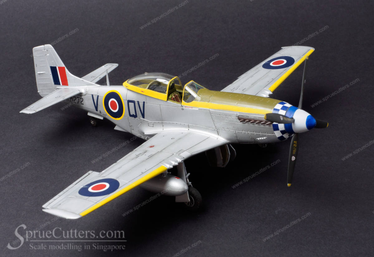 P-51 Mustang "Dooleybird"