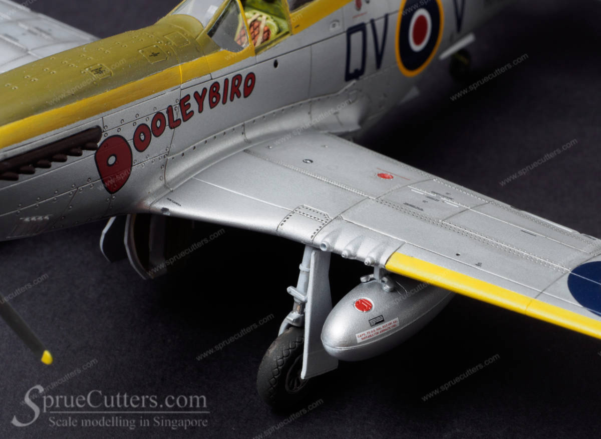 P-51 Mustang "Dooleybird"