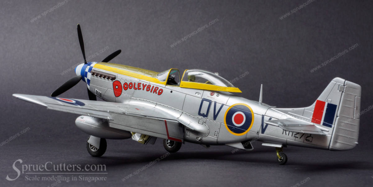P-51 Mustang "Dooleybird"