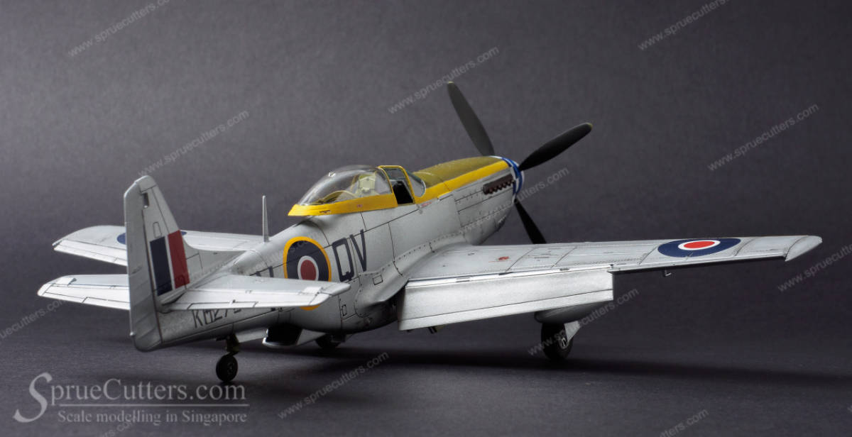 P-51 Mustang "Dooleybird"