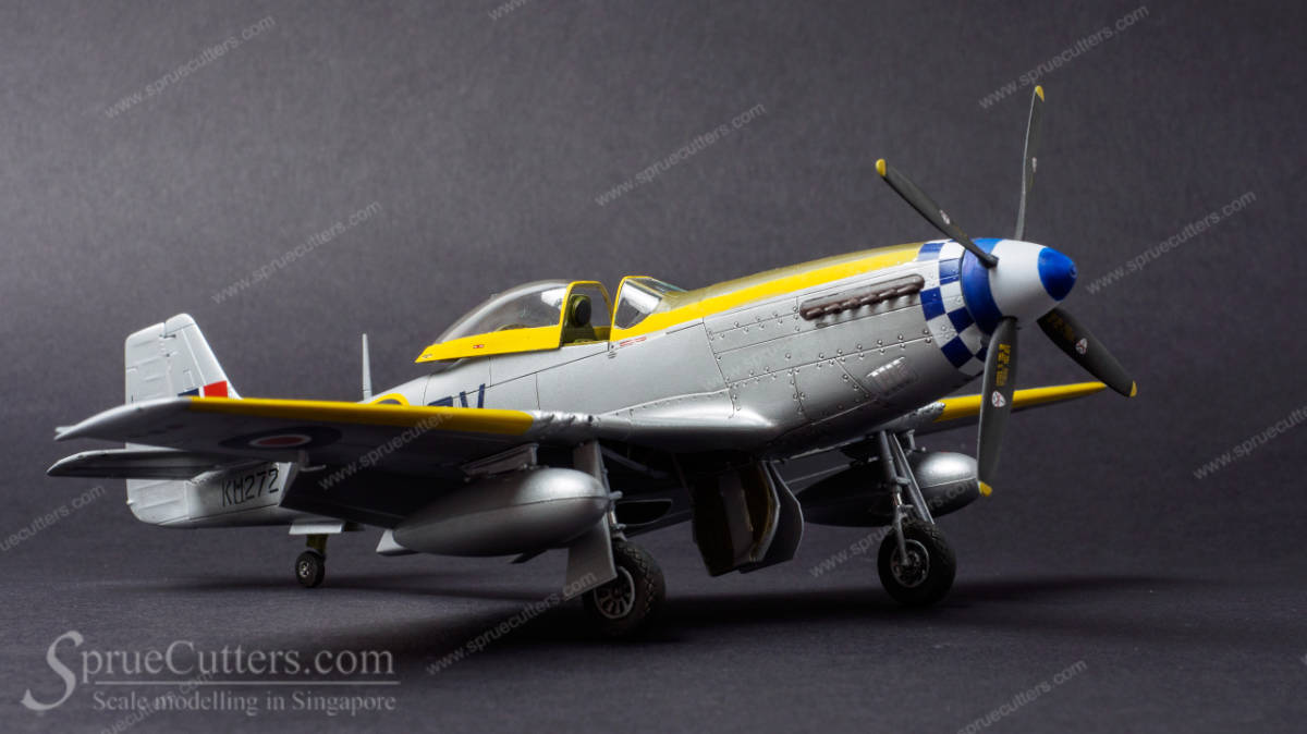 P-51 Mustang "Dooleybird"