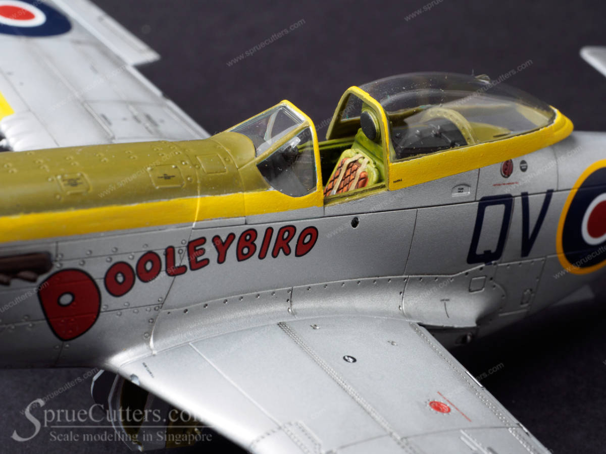 P-51 Mustang "Dooleybird"