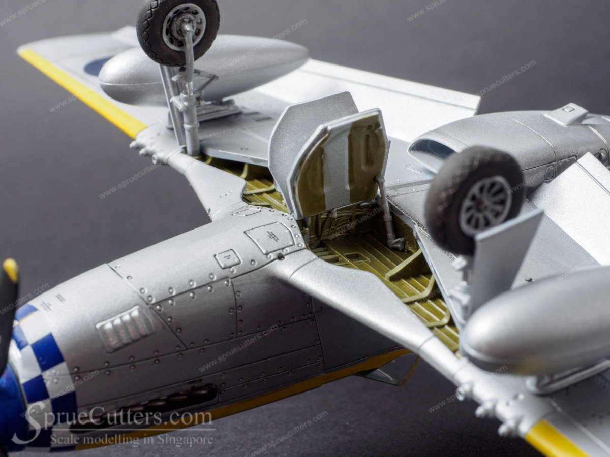 P-51 Mustang "Dooleybird"