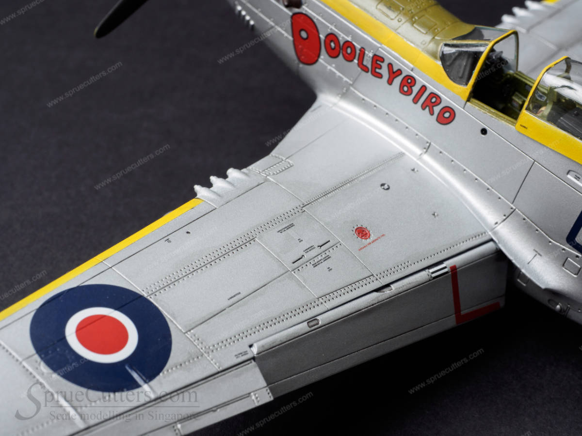 P-51 Mustang "Dooleybird"