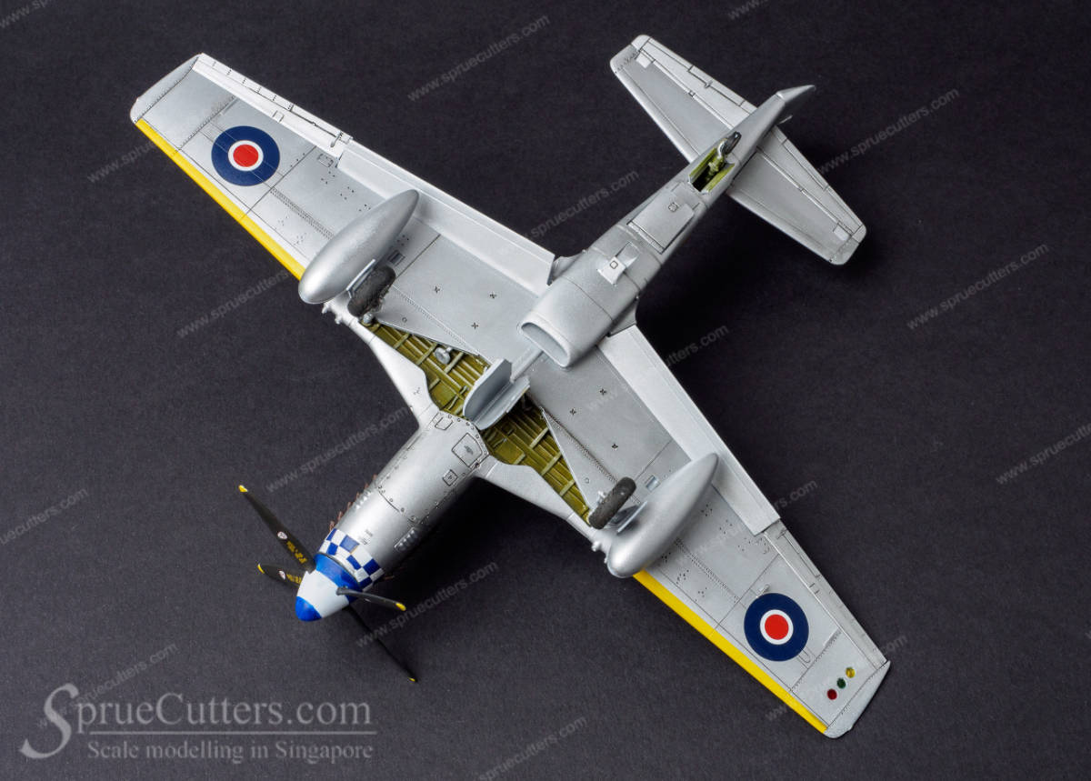P-51 Mustang "Dooleybird"